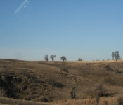 Thanksgiving 2008 004